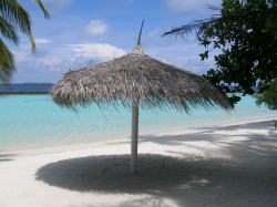 ���i�C���[�W